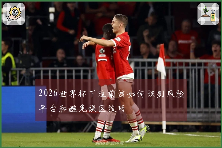 2026世界杯下注前该如何识别风险平台和避免误区技巧