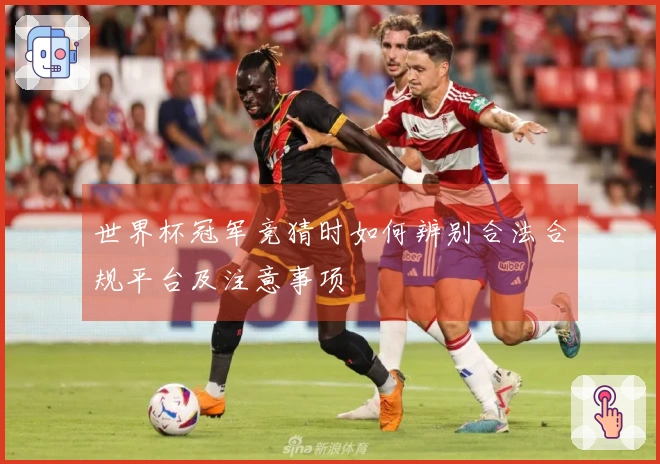 世界杯冠军竞猜时如何辨别合法合规平台及注意事项