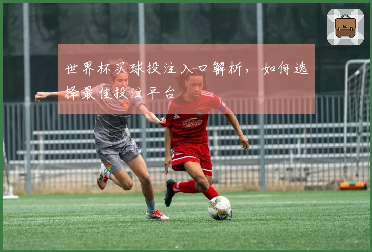 世界杯买球投注入口解析，如何选择最佳投注平台