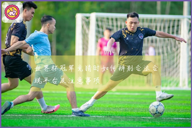 世界杯冠军竞猜时如何辨别合法合规平台及注意事项