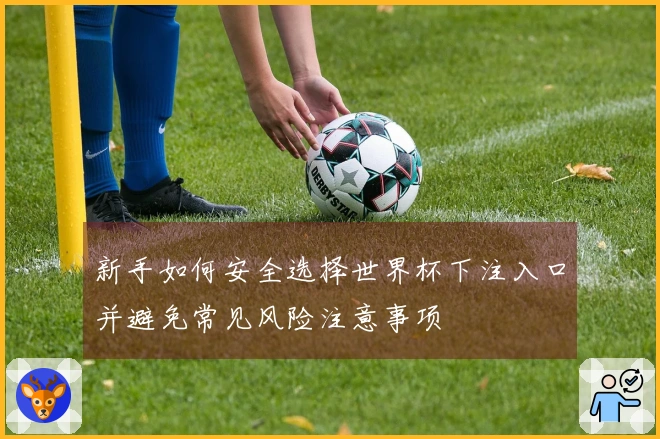 新手如何安全选择世界杯下注入口并避免常见风险注意事项