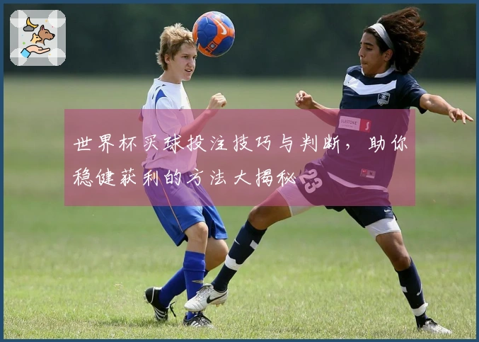 世界杯买球投注技巧与判断，助你稳健获利的方法大揭秘