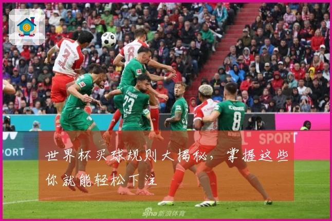 世界杯买球规则大揭秘，掌握这些你就能轻松下注