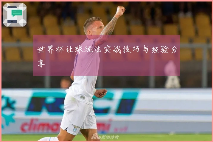世界杯让球玩法实战技巧与经验分享