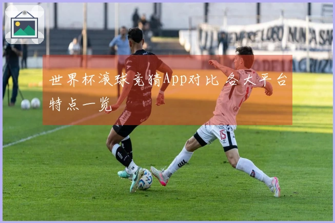 世界杯滚球竞猜App对比 各大平台特点一览